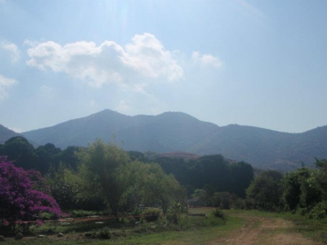 Los Sabinos